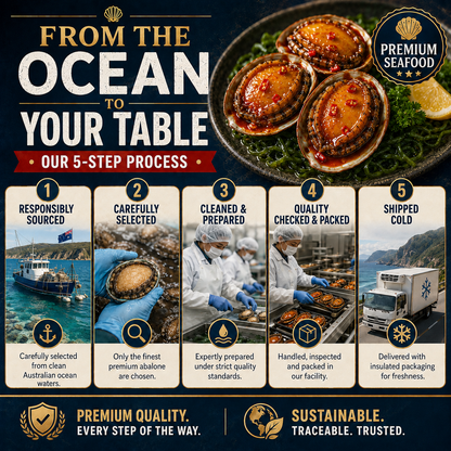 Premium Australian Abalone — High Protein · Low Fat · Rich in Ocean Nutrients - CYH