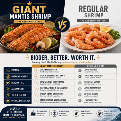 Giant Mantis Shrimp – High-Protein Premium Seafood - TH